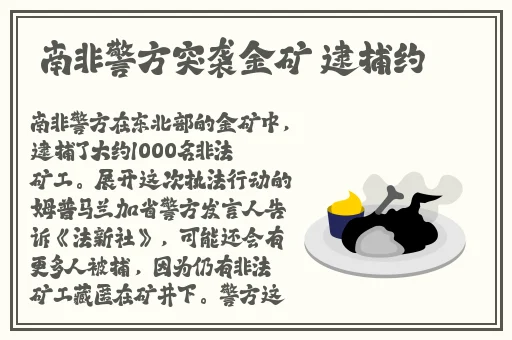 老师的兔子好软水视频2